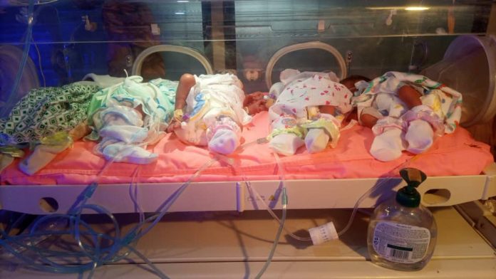 37 Years Old Woman Gives Birth To Quintuplets
