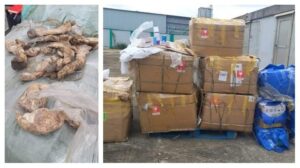 Custom Division Intercepts 7,000 Donkey Sex Organs To Hong Kong