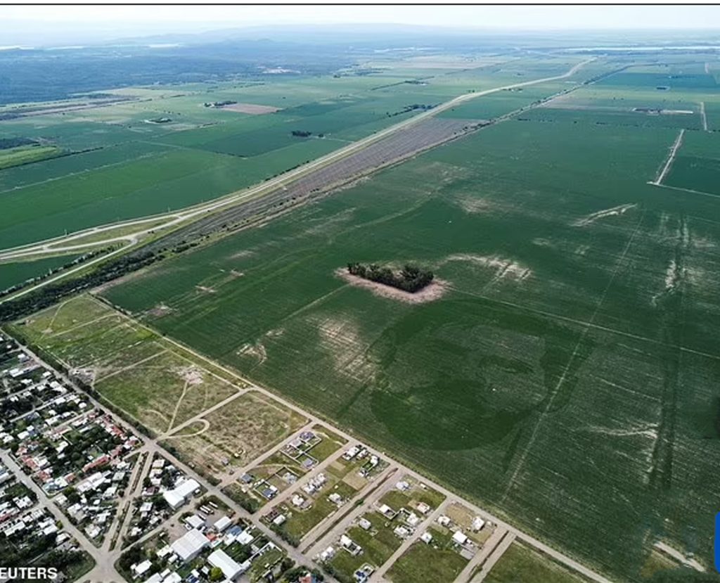Argentine farmer grows enormous 124 acre image of Lionel Messi 2