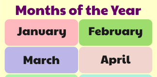 10 Best Free Printable Months Of The Year Chart PDF for Free at JjE081tTcj06rM