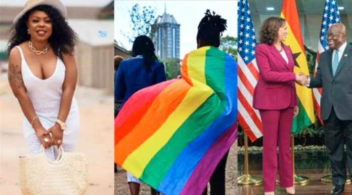 Approve LGBTQ in Ghana – Afia Schwarzenegger to Prez Nana Addo